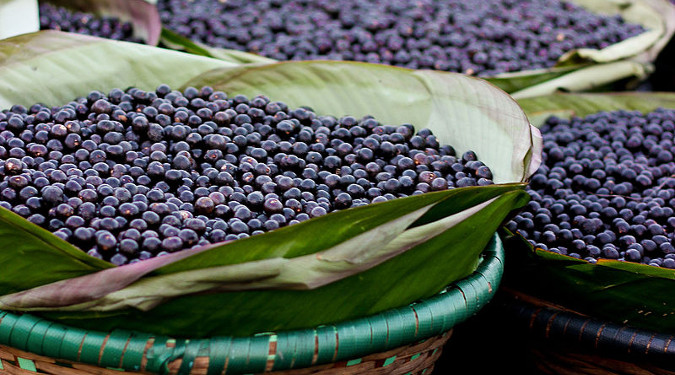 Baskets full of antioxidant Acai berries.