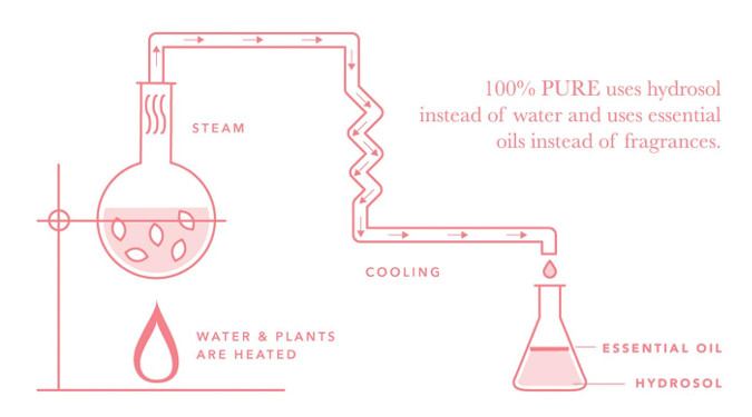 100 Pure uses hydrosols in a lot of their products. Here is a picture of the hydrosol process, which is a by product of essential oil distillation.